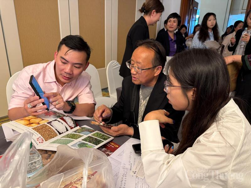 Sự kiện Vietnam – Korea Business Partnership 2026 quy tụ 120 doanh nghiệp Hàn Quốc, mở rộng cơ hội giao thương, kết nối đầu tư và thúc đẩy hợp tác kinh tế song phương. Ảnh minh hoạ