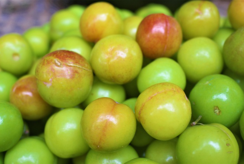 Mận cơm đầu vụ dao động 8.000 - 25.000 đồng/kg