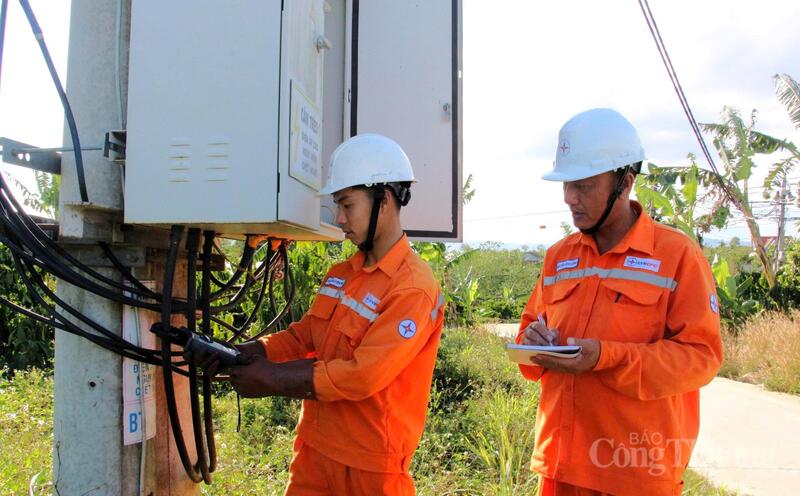 Kiểm tra hệ thống lưới điện tại Quảng Ngãi
