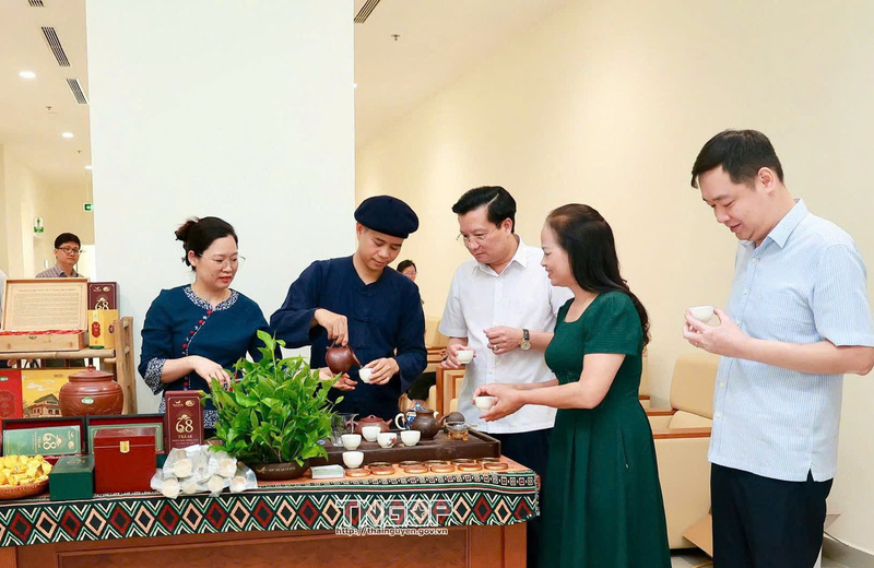 Với danh hiệu OCOP 5 sao, Thanh Hải Trà đang góp phần quảng bá hình ảnh chè Việt và nâng cao giá trị nông sản trên thị trường quốc tế. Ảnh: NVCC