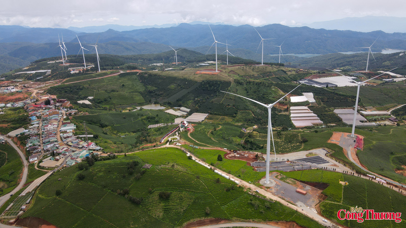 Nằm cách trung tâm Đà Lạt khoảng 20 km, khu vực Cầu Đất từ lâu đã nổi tiếng với những đồi chè xanh mướt và không khí trong lành đặc trưng của cao nguyên.