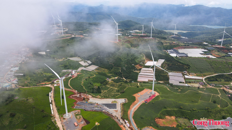 Những năm gần đây, nơi đây còn được biết đến với một điểm nhấn mới là cánh đồng điện gió, nơi những tua-bin khổng lồ vươn mình giữa trời xanh, tạo nên một cảnh quan vừa hiện đại vừa thơ mộng.