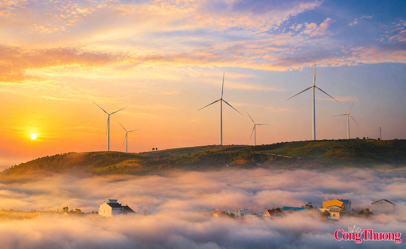 Bình minh buông ánh vàng trên cao nguyên Cầu Đất, những tua-bin gió vươn mình giữa biển mây, vừa tạo nên bức tranh thiên nhiên thơ mộng, vừa biểu trưng cho nhịp chuyển mình mạnh mẽ của năng lượng xanh.
