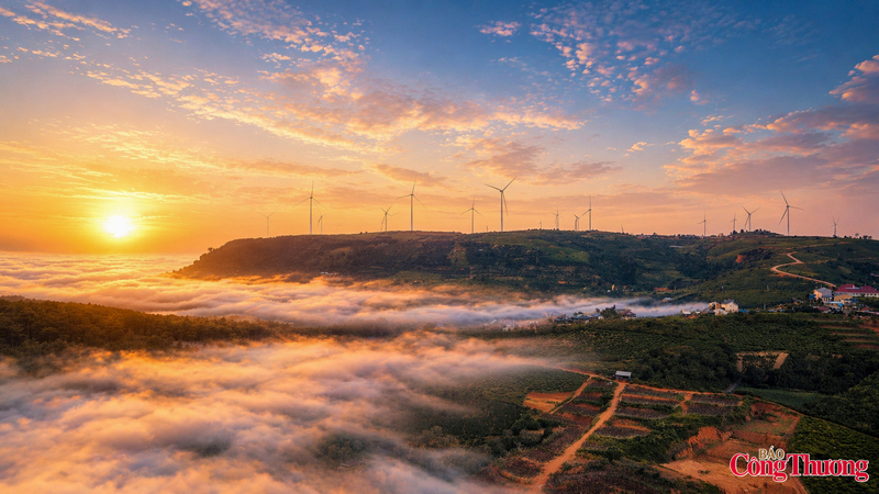 Khi các cánh quạt quay đều trong gió, toàn bộ khu vực như khoác lên mình một nhịp điệu riêng chậm rãi nhưng đầy sức sống. Sự kết hợp giữa công trình năng lượng và thiên nhiên đã tạo nên một bức tranh hài hòa, mang dấu ấn của xu hướng phát triển xanh.