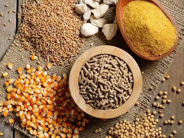 EU thông báo sửa đổi quy định liên quan đến mức dư lượng tối đa đối với các hợp chất đồng trong hoặc trên một số sản phẩm thực phẩm và thức ăn chăn nuôi. Ảnh minh họa