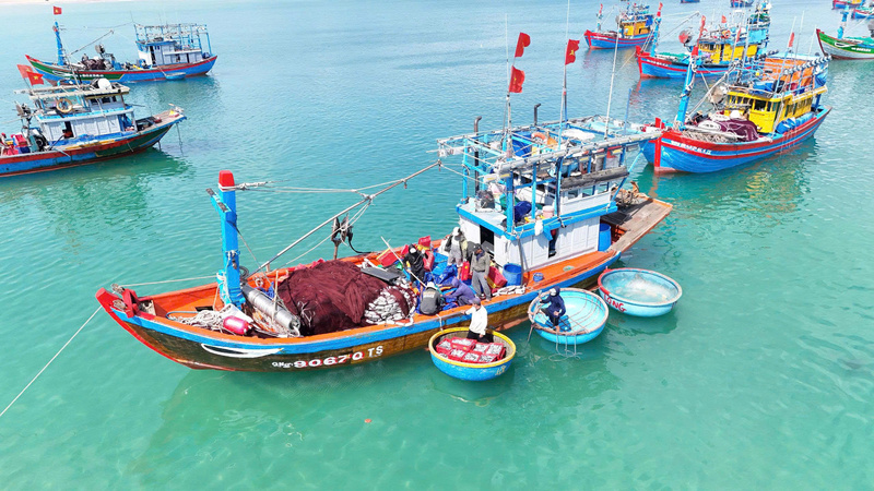 Theo định hướng, đến năm 2030, ngành thủy sản tỉnh đặt mục tiêu tăng trưởng 4–5%/năm, tổng sản lượng đạt khoảng 284.547 tấn. Ảnh: Nguyễn Dương