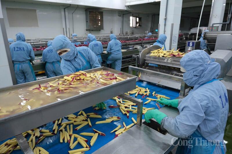 Lâm Đồng đặt mục tiêu tăng trưởng công nghiệp bình quân 14,5% giai đoạn 2026 – 2030, hướng tới năm 2030 trở thành trụ cột kinh tế với các trung tâm công nghiệp, năng lượng, chế biến, logistics quy mô vùng. Ảnh: Lê Sơn