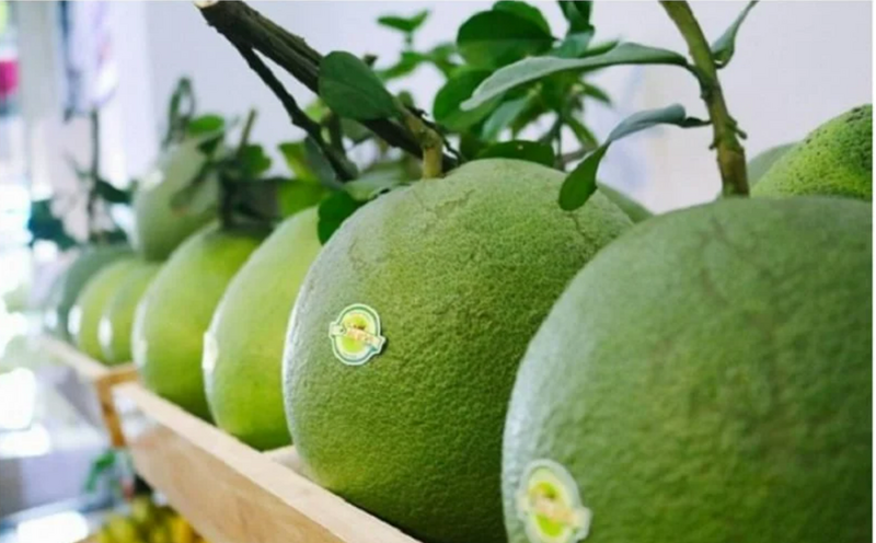 Xuất khẩu rau quả hướng tới mục tiêu 10 tỷ USD. Ảnh minh họa