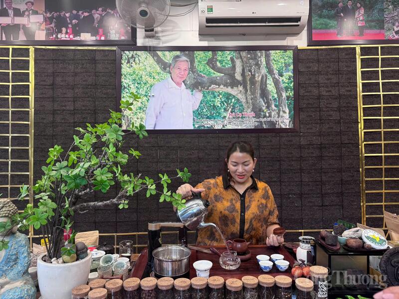 Nghệ nhân Phạm Thị Minh Hải pha trà mời phóng viên, bắt đầu kể câu chuyện về hành trình gìn giữ, phát triển thương hiệu chè Shan tuyết - Trà Cụ Thành. Ảnh: Văn Thi