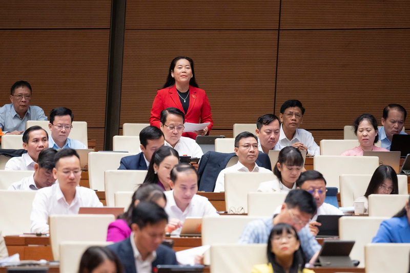 Đại biểu Lê Thị Thanh Lam (đoàn Cần Thơ) đề xuất tăng chế tài xử phạt đối với hành vi vi phạm an toàn thực phẩm.