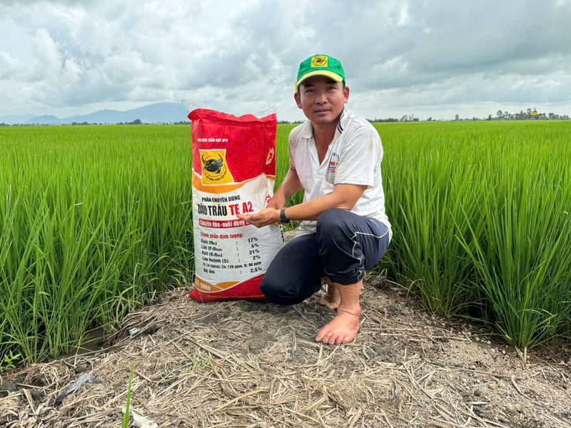 Phân bón Đầu Trâu trở thành ưu tiên lựa chọn của bà con nông dân cả nước.