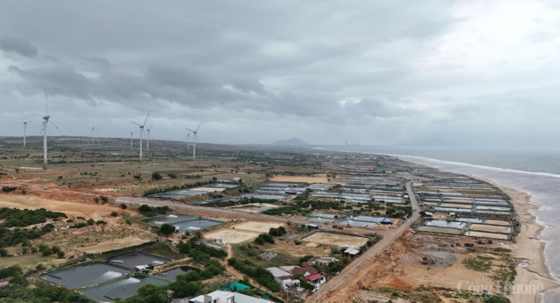 Việt Nam hội tụ đủ hội đủ điện gió, mặt trời, thủy năng.