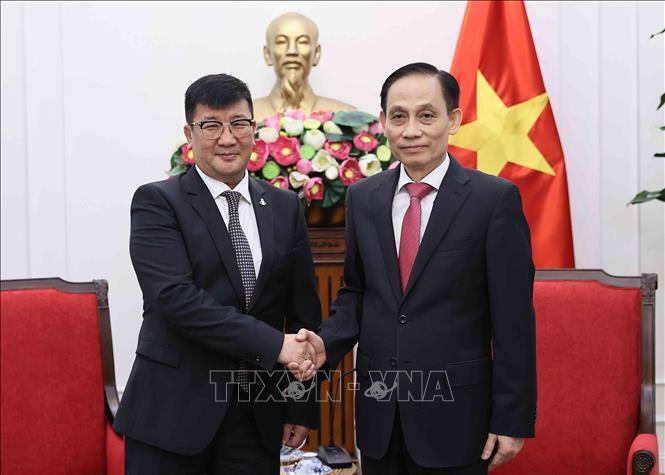 Bộ trưởng Ngoại giao Lê Hoài Trung tiếp Đại sứ Mông Cổ tại Việt Nam Jigjee Sereejav. Ảnh: An Đăng/TTXVN