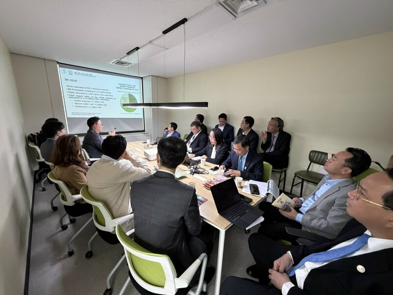 Hiệp hội Cao su Việt Nam làm việc với đối tác Hàn Quốc do Thương vụ tổ chức.