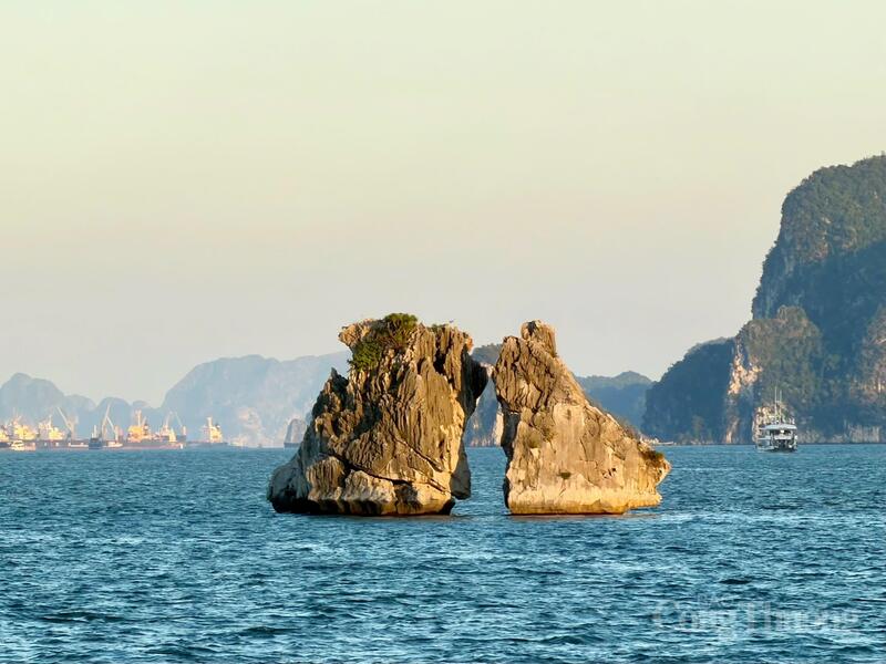 Phê duyệt nhiệm vụ quy hoạch bảo tồn vịnh Hạ Long đến năm 2035 tầm nhìn 2050.