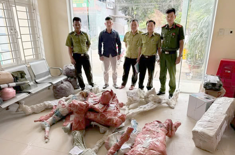 Lực lượng chức năng phát hiện, tạm giữ phôi cây muội hồng được ký gửi tại Bưu điện xã để xác minh làm rõ. Ảnh: Công an Thanh Hóa