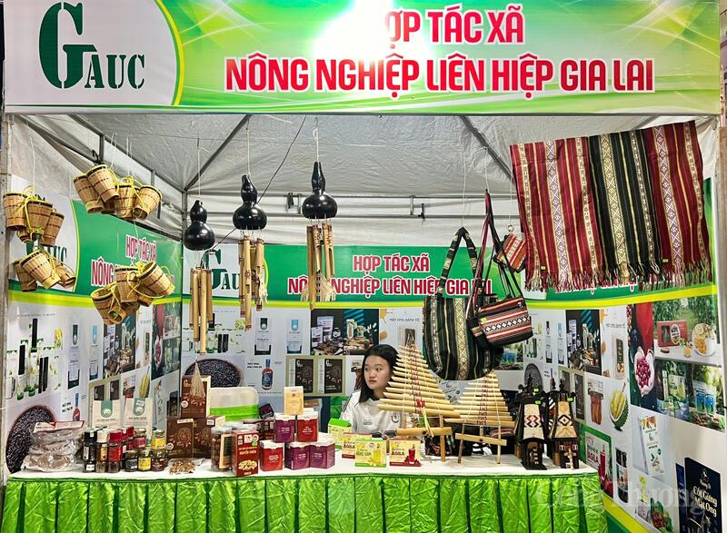 Phố ẩm thực Diên Hồng có tổng cộng 73 lô, gồm 19 ki-ốt kinh doanh hàng lưu niệm, sản phẩm OCOP và 54 gian hàng ẩm thực.