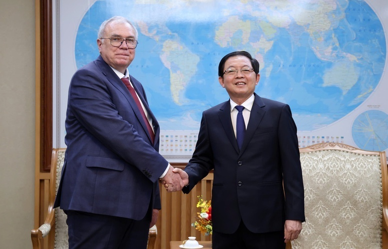 Phó Thủ tướng Hồ Quốc Dũng tiếp Phó Tổng Giám đốc Cơ quan Năng lượng nguyên tử Quốc tế (IAEA) Mikhail Chudakov - Ảnh: VGP/Gia Huy