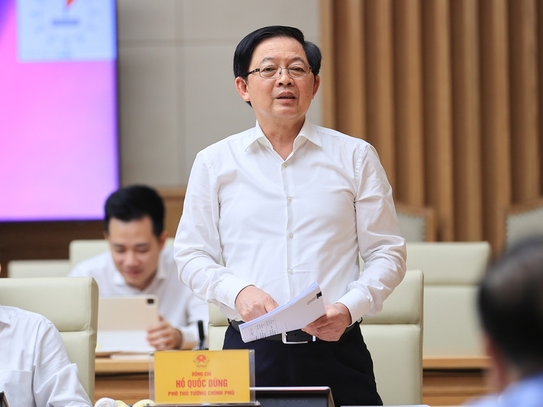 Phó Thủ tướng Chính phủ Hồ Quốc Dũng phát biểu - Ảnh: VGP/Nhật Bắc