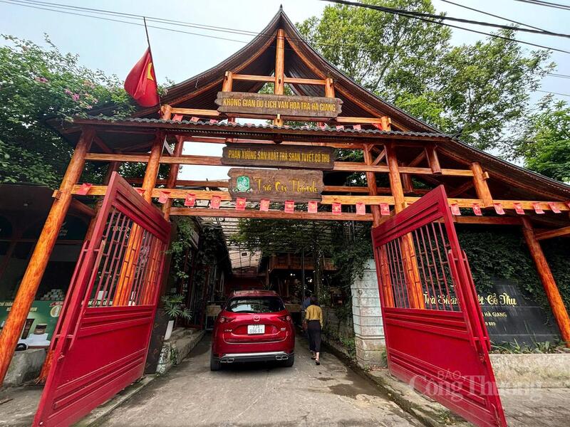 Không gian thưởng trà được thiết kế độc đáo và ấn tượng.