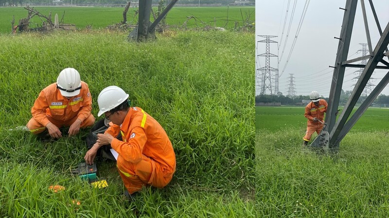 Tổ quản lý vận hành đường dây Hà Nội 2 kiểm tra điện trở tiếp địa tại vị trí 64 đường dây 500kV Hiệp Hòa – Đông Anh. Ảnh CTV TTĐ HN