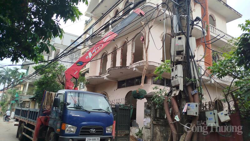 Cùng những cây xanh cũng được chuyển đi.