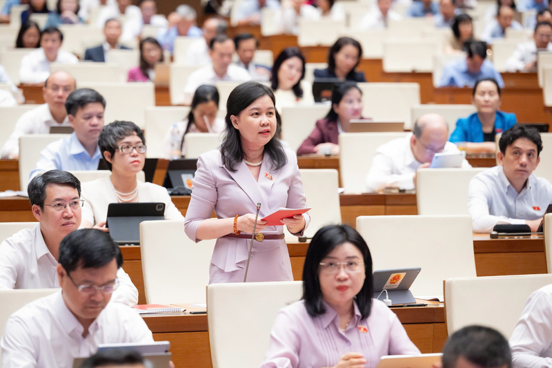 Đại biểu Nguyễn Phương Thủy - đoàn Hà Nội