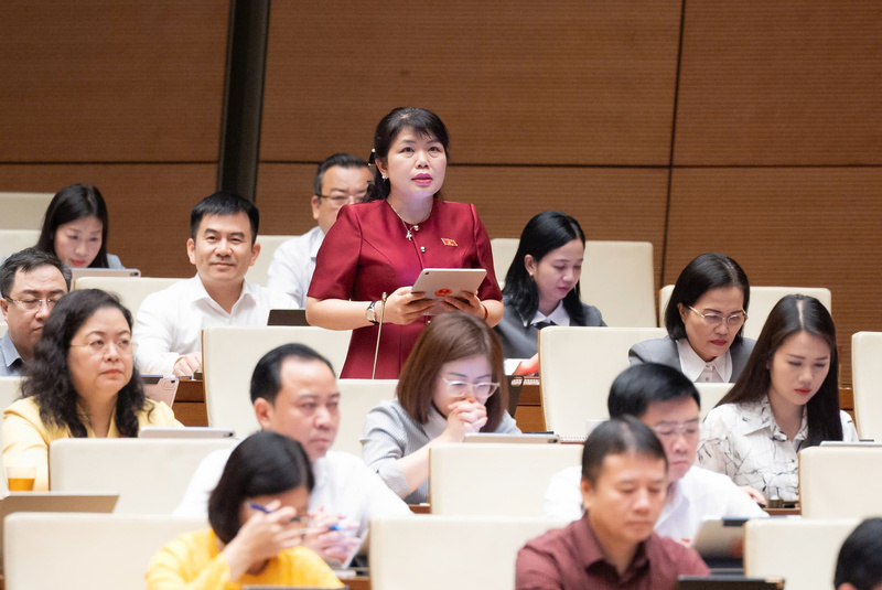 Đại biểu Nguyễn Thị Thu Hà - đoàn Quảng Ninh