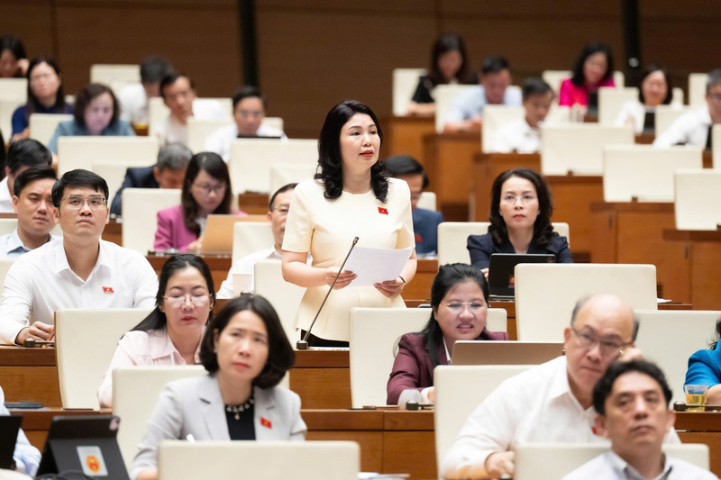 Đại biểu Trần Thị Vân - đoàn Bắc Ninh