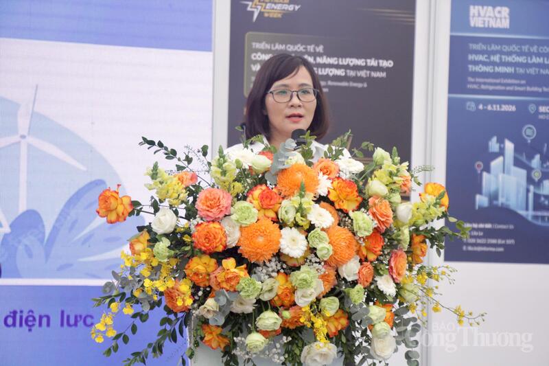 Bà Đỗ Thị Mai - Trưởng phòng Pháp chế, Cục Điện lực (Bộ Công Thương). Ảnh: P.C