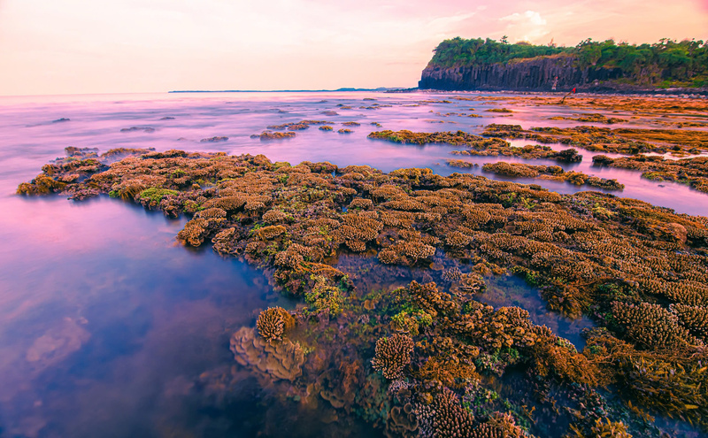 Gành Yến sở hữu hệ sinh thái rạn san hô phong phú, từng được ví như ngôi nhà chung của nhiều loài thủy, hải sản có giá trị kinh tế cao. Ảnh: Nguyễn Dương