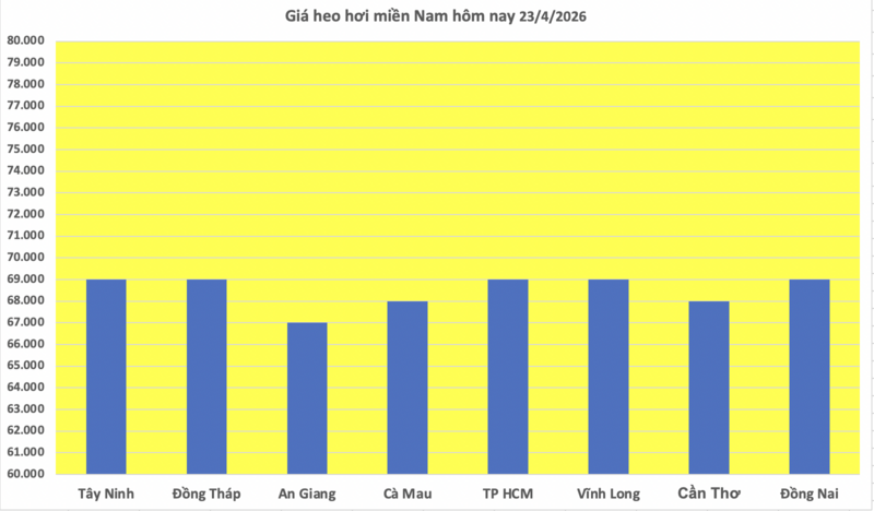 Giá heo hơi hôm nay 23/4/2026: Tăng nhẹ tại Cần Thơ - 3