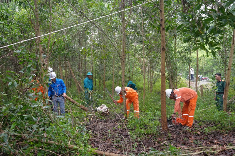 Trước mùa mưa bão năm 2026, toàn bộ cây xanh vi phạm hành lang an toàn lưới điện trên địa bàn xã Như Thanh sẽ được xử lý dứt điểm. Ảnh: Mạnh Huyền