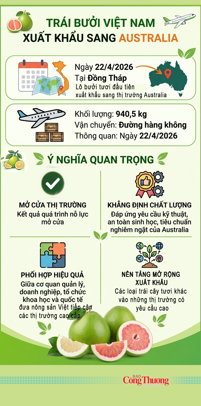 Infographic | Bưởi Việt Nam chính thức xuất khẩu vào Australia - 1