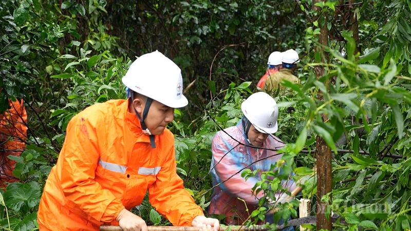 Công tác dọn dẹp trải dài trên 36 km với hơn 330 khoảng cột.