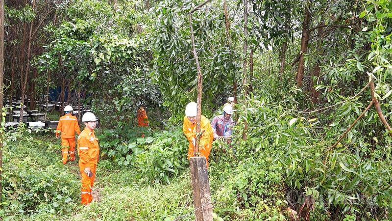 Hành lang lưới điện thông thoáng giảm thiểu tối đa các sự cố chủ quan, sẵn sàng đối mặt với mùa mưa bão sắp tới, đảm bảo cung cấp nguồn điện an toàn, ổn định và tin cậy cho khách hàng.
