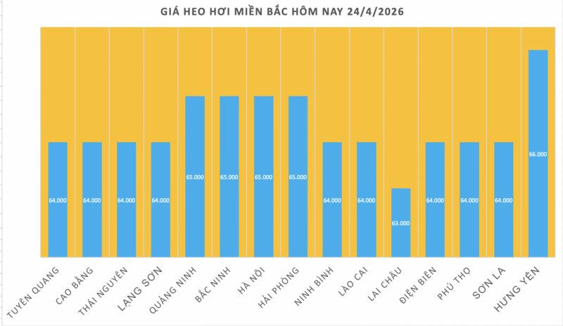 Giá heo hơi hôm nay 24/4/2026: Tăng vài nơi - 1