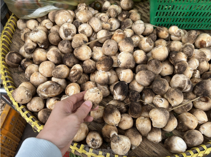 Giá nấm rơm tại các tỉnh vùng Đồng bằng sông Cửu Long đã tăng 5.000 - 15.000 đồng/kg. Ảnh minh họa