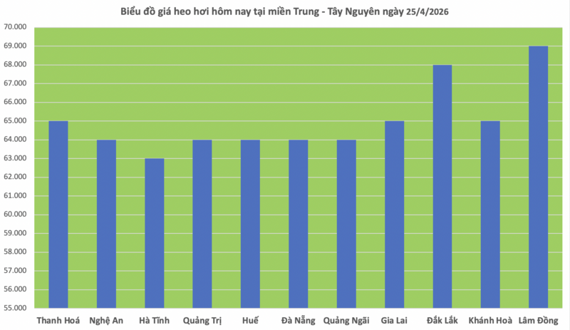 Giá heo hơi hôm nay 25/4/2026: Tăng nhẹ một vài nơi - 2