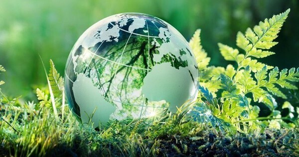 Tăng trưởng xanh không đơn thuần là chi phí bổ sung mà đang trở thành mô hình quản trị mới giúp doanh nghiệp nâng năng suất. Ảnh minh họa