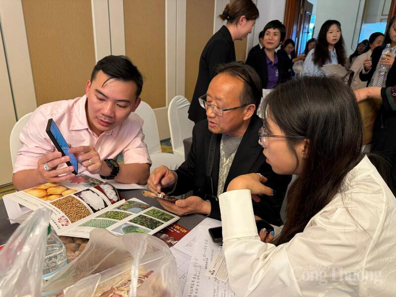 Người làm nông sản đang chia sẻ về thương hiệu, sản phẩm của mình với đối tác quốc tế.
