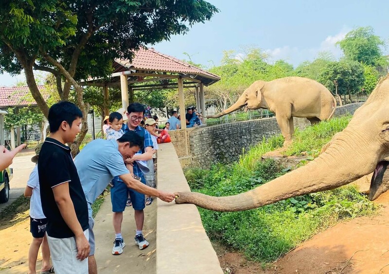 Trẻ em thích thú với hơn 2.000 cá thể động vật hoang dã quý hiếm ở Khu sinh thái Mường Thanh Diễn Lâm.