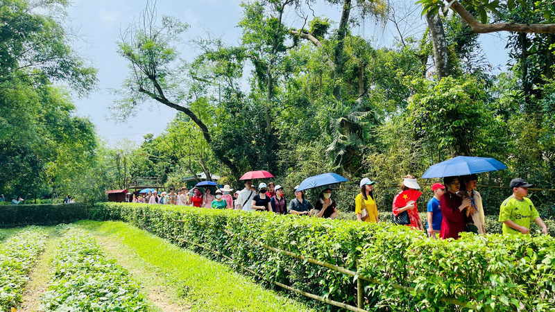 Tại Khu di tích Quốc gia đặc biệt Kim Liên, dòng người nối nhau về thăm Quê Bác.