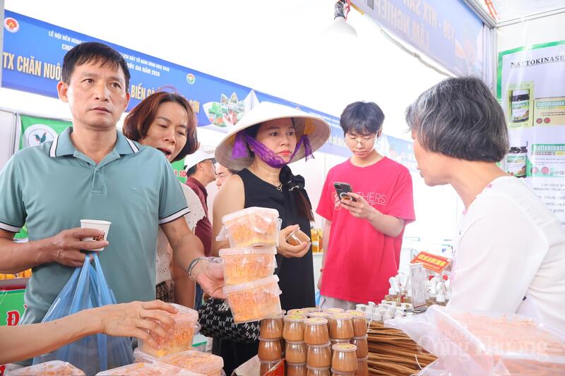 Hội chợ Hùng Vương với nhiều đặc sản vùng miền hút khách tham quan - 12