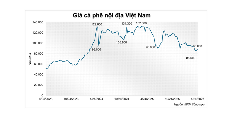 Giá cà phê nội địa Việt Nam. Nguồn: MXV