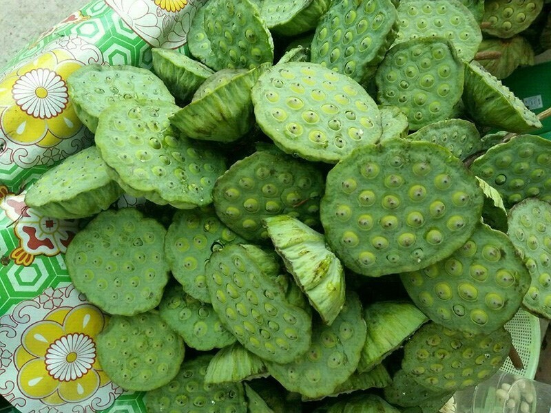 Giá gương sen ở mức thấp. Ảnh minh họa