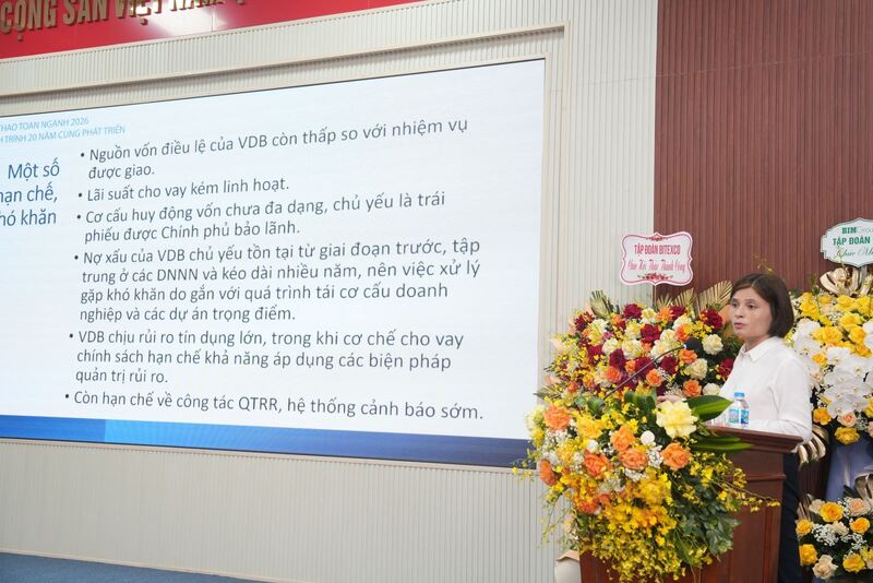 Tiến sĩ Nguyễn Minh Thảo, Viện Chiến lược và Chính sách Tài chính phát biểu tại hội thảo