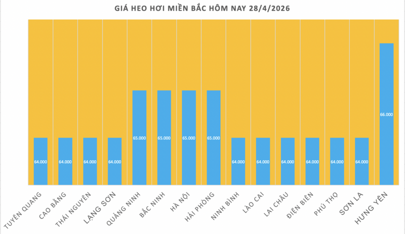 Giá heo hơi hôm nay 28/4/2026: Tăng nhẹ tại Nghệ An - 1