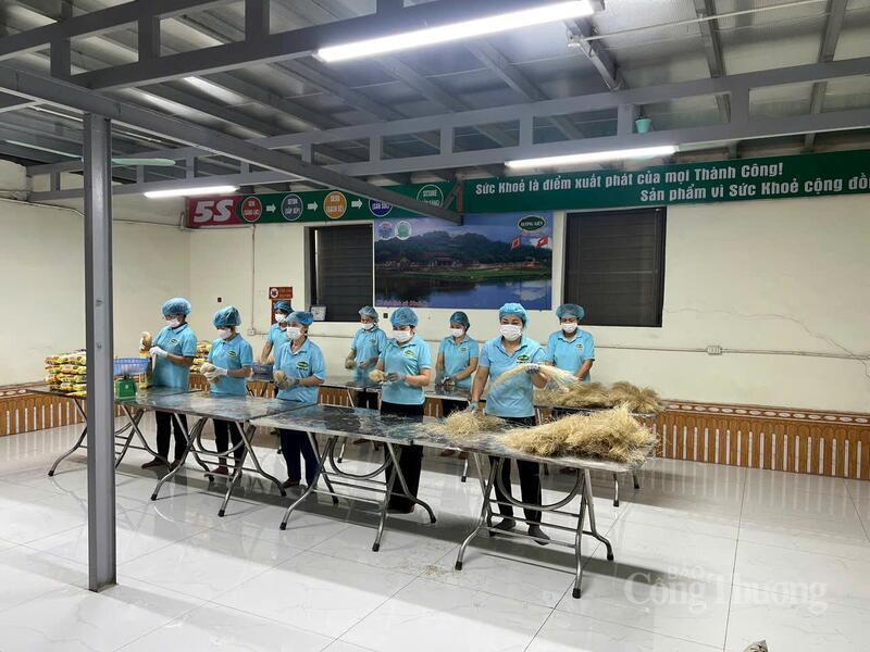 Miến dong được đóng gói theo khối lượng trước khi đưa ra thị trường.