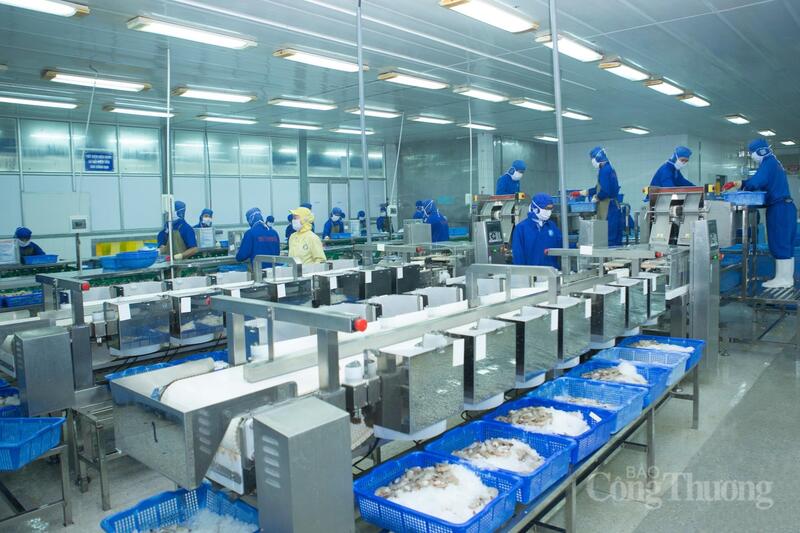 Công đoàn Công ty Thủy sản Thuận Phước sẽ phát động Tháng cao điểm thúc đẩy phong trào sáng kiến, cải tiến kỹ thuật để nâng cao năng suất lao động